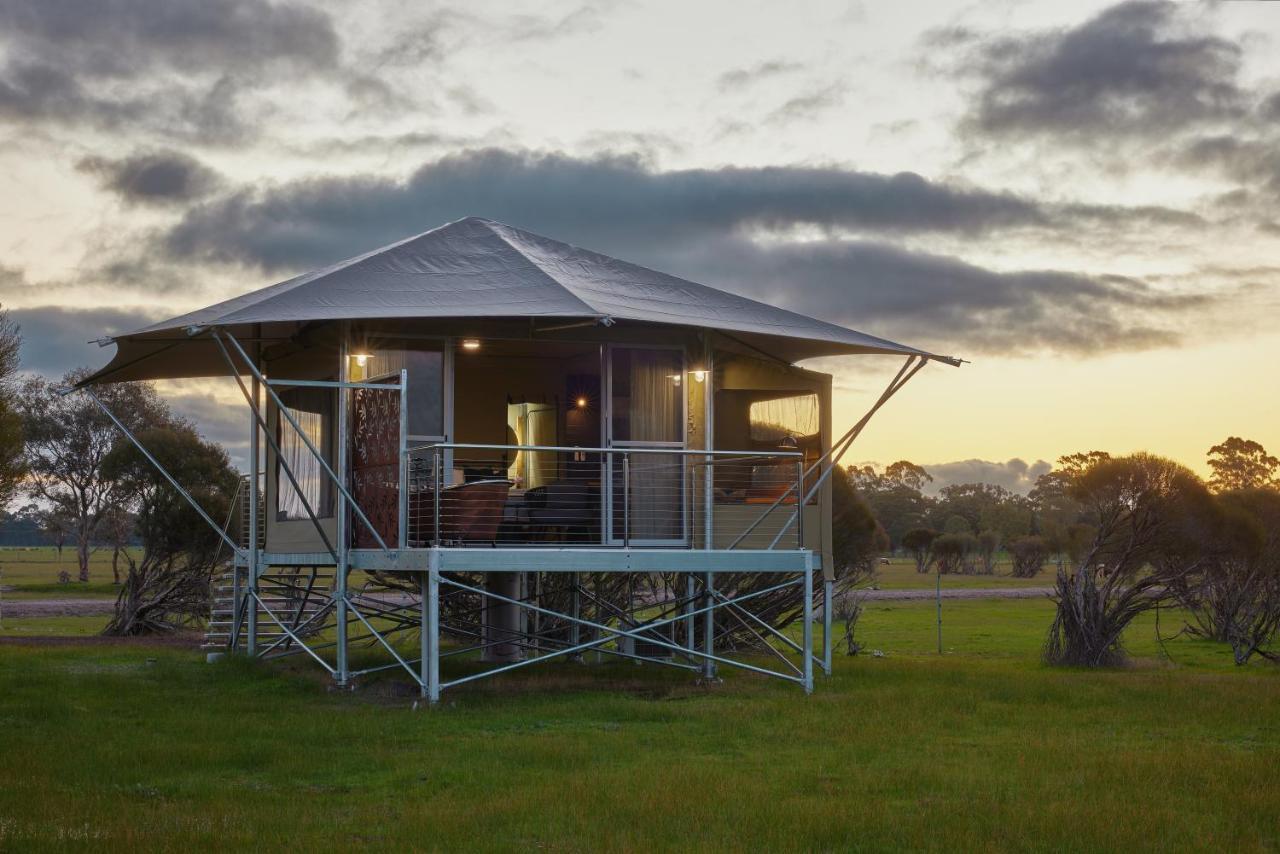 Willow Wood Glamping Retreat Broadwater Экстерьер фото